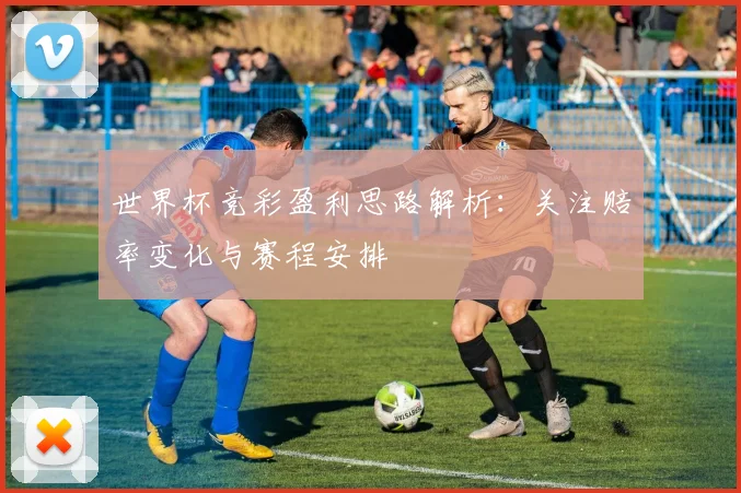 世界杯竞彩盈利思路解析:关注赔率变化与赛程安排