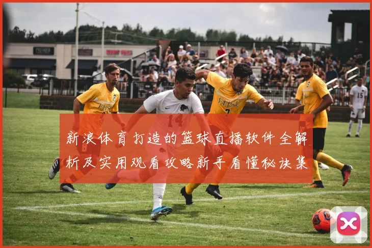 新浪体育打造的篮球直播软件全解析及实用观看攻略新手看懂秘诀集